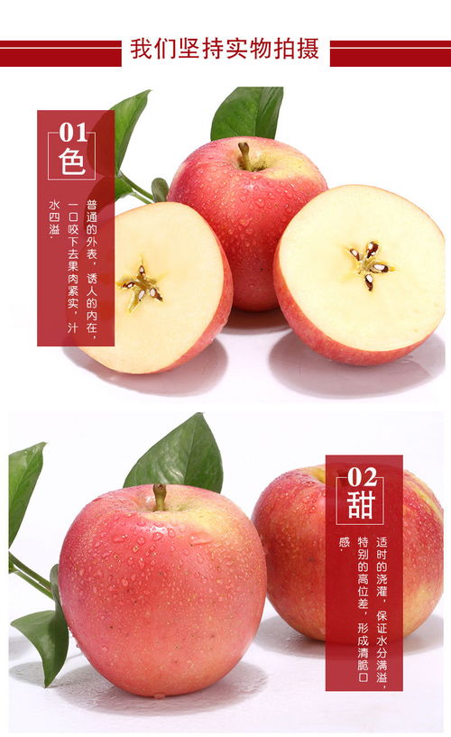 嘗遍百果心仍動(dòng)——品味精品山西冰糖心紅富士的季節(jié)饋贈(zèng)